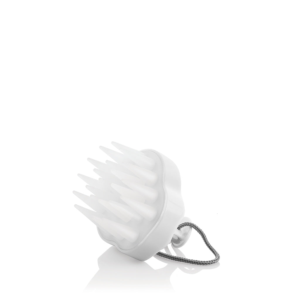 Exfoliating Cleansing Scalp Brush | Colorproof – Colorproof PRO
